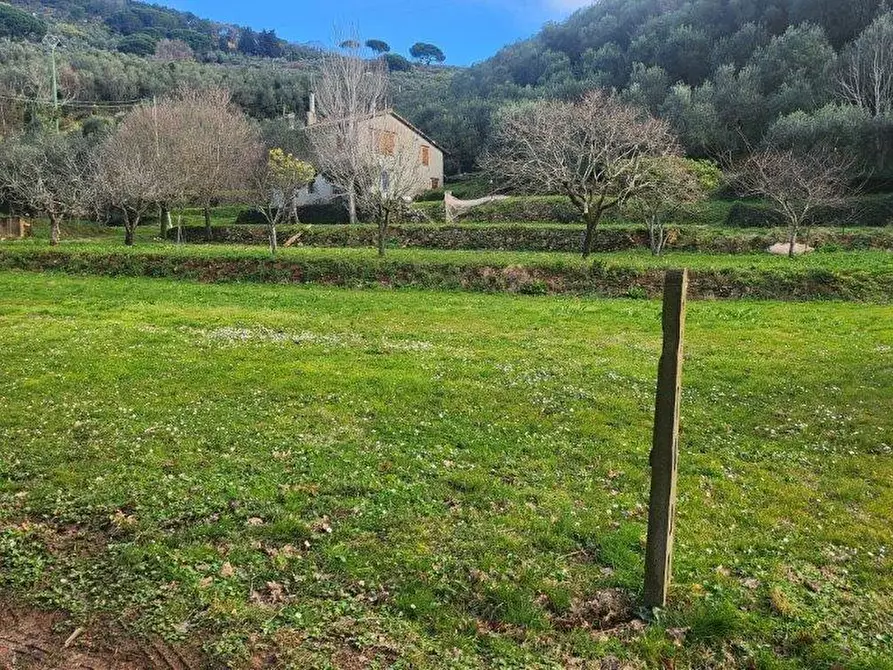 Immagine 2 di Terreno agricolo in vendita  a Vicopisano