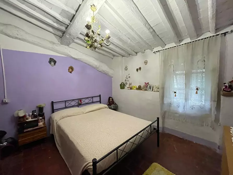 Immagine 18 di Terratetto in vendita  a Capannori