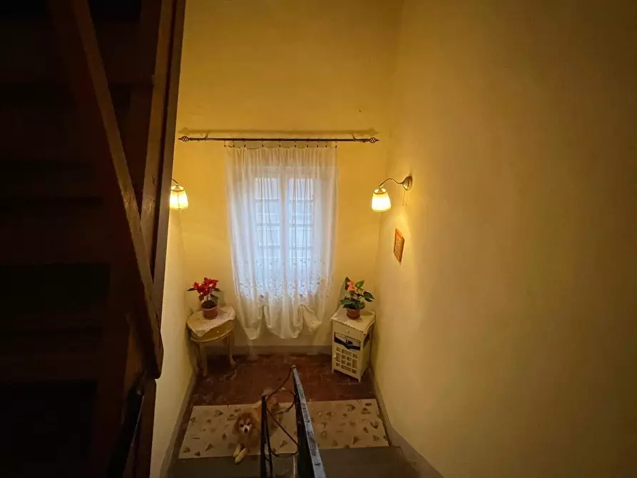 Immagine 6 di Terratetto in vendita  a Capannori