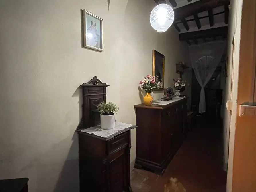 Immagine 8 di Terratetto in vendita  a Capannori