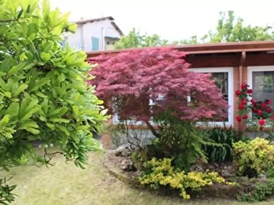 Immagine 6 di Casa bifamiliare in vendita  a Massa