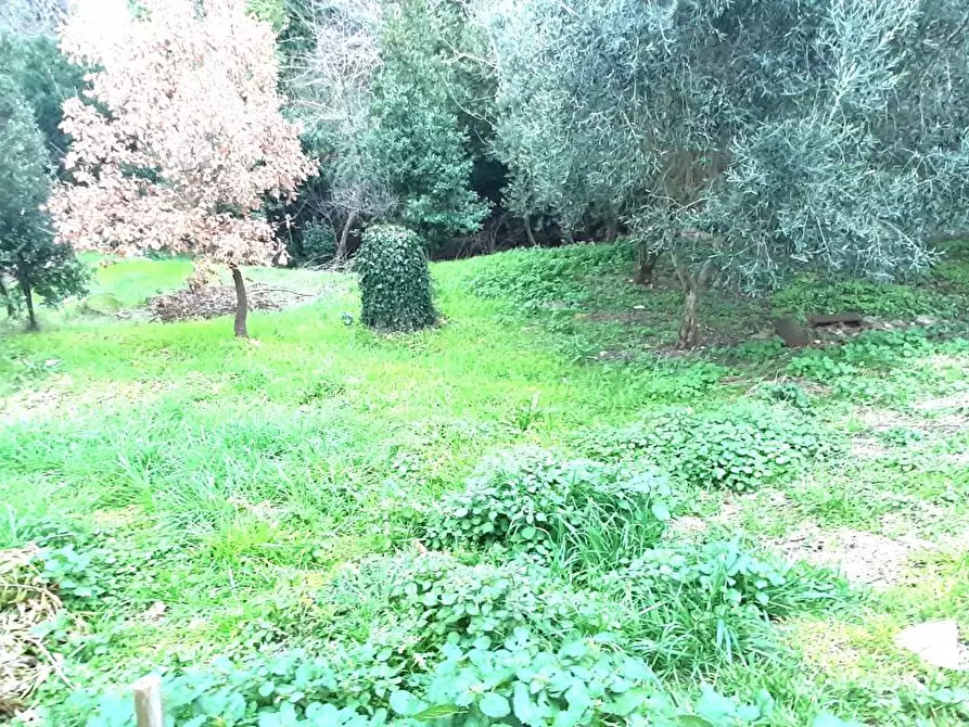 Immagine 54 di Villetta a schiera in vendita  a Rosignano Marittimo