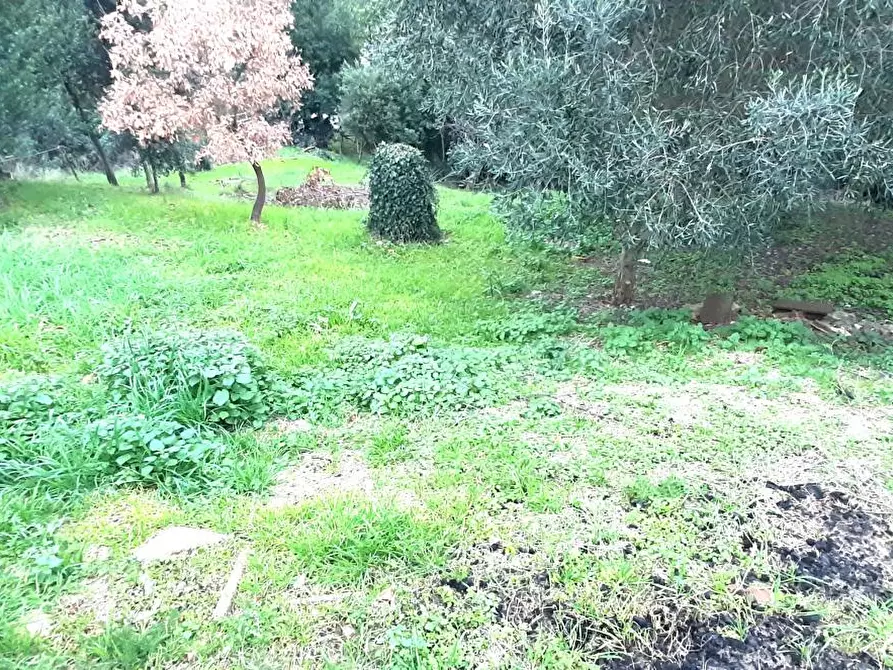 Immagine 52 di Villetta a schiera in vendita  a Rosignano Marittimo
