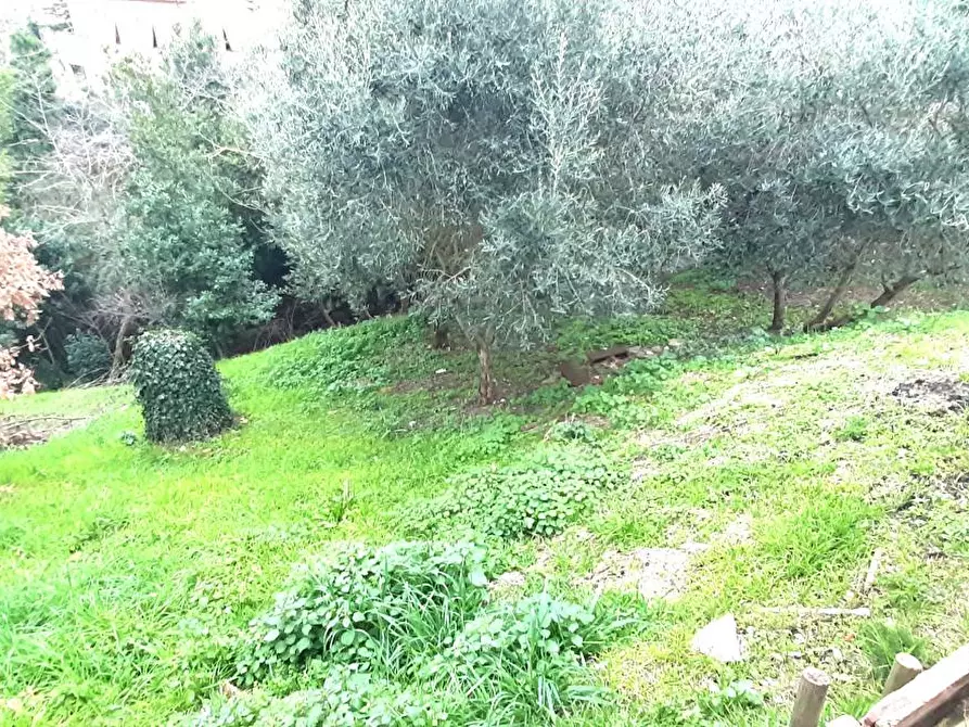 Immagine 53 di Villetta a schiera in vendita  a Rosignano Marittimo