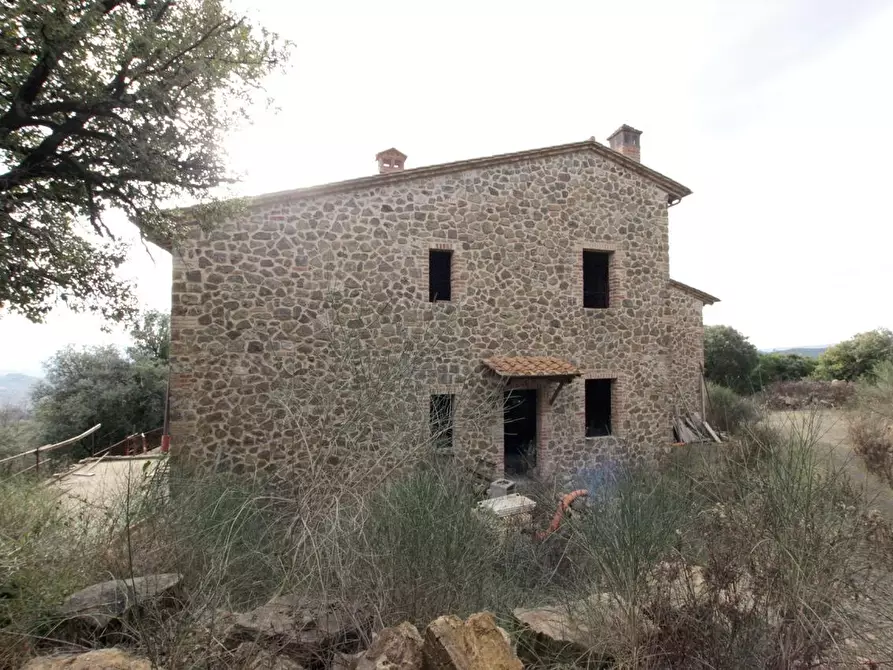 Immagine 4 di Casa colonica in vendita  a Murlo