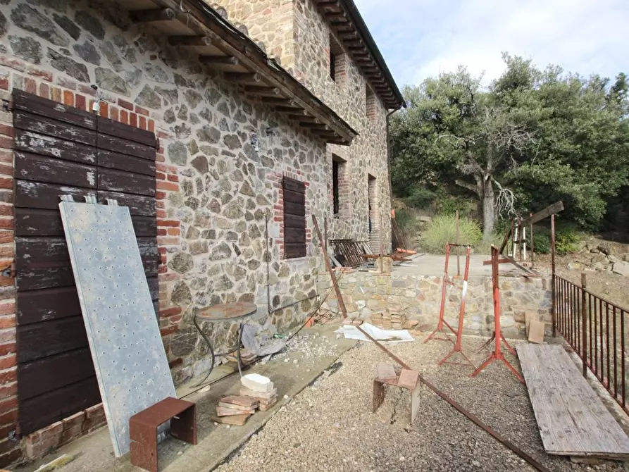Immagine 5 di Casa colonica in vendita  a Murlo