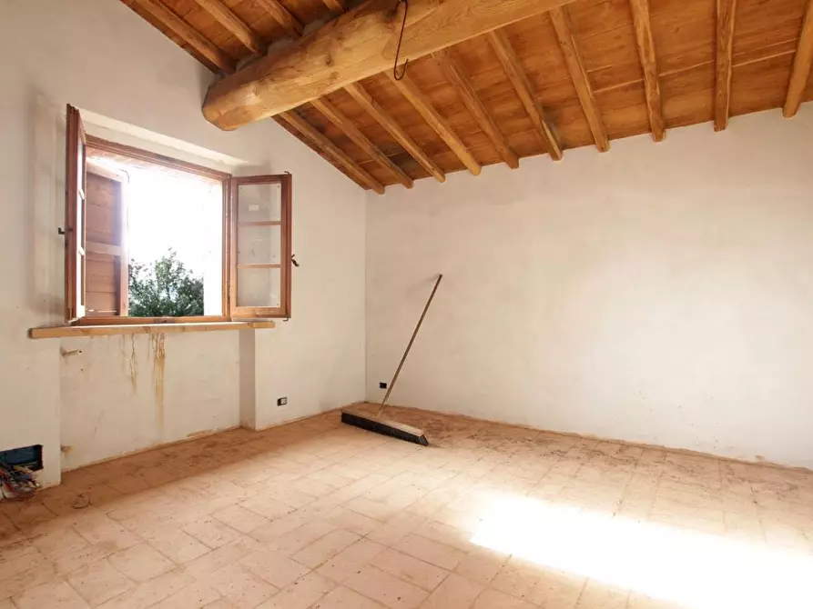 Immagine 14 di Casa colonica in vendita  a Murlo