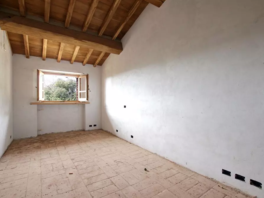 Immagine 17 di Casa colonica in vendita  a Murlo