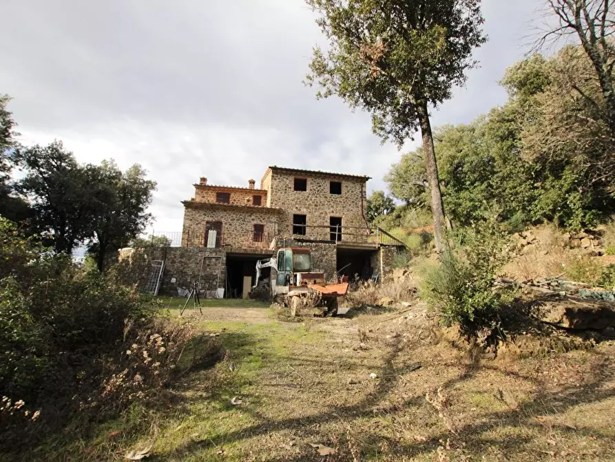 Immagine 1 di Casa colonica in vendita  a Murlo
