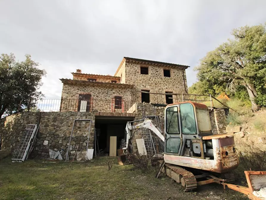 Immagine 2 di Casa colonica in vendita  a Murlo