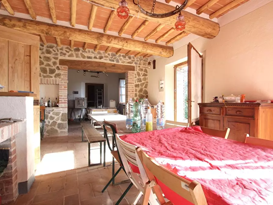 Immagine 7 di Casa colonica in vendita  a Murlo