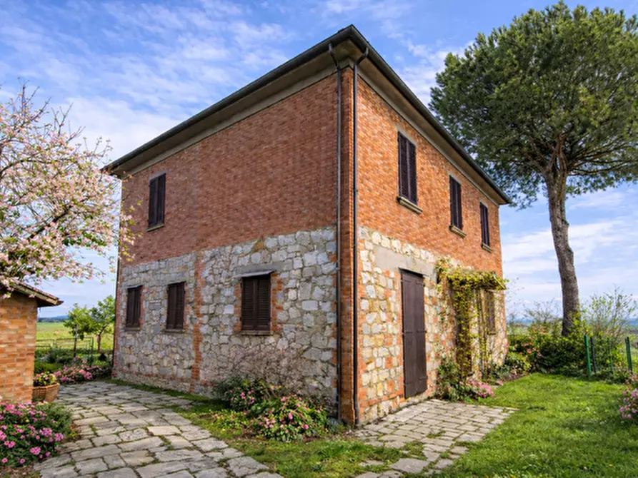 Immagine 1 di Casa colonica in vendita  a Torrita Di Siena