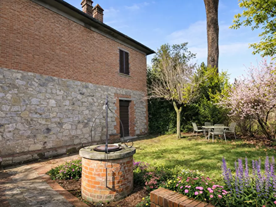 Immagine 2 di Casa colonica in vendita  a Torrita Di Siena