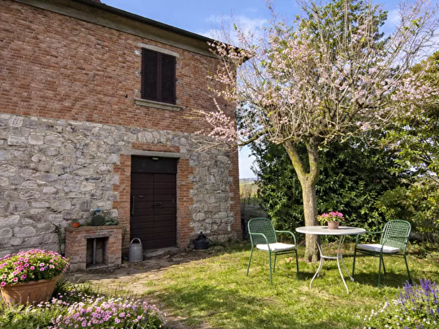 Immagine 5 di Casa colonica in vendita  a Torrita Di Siena