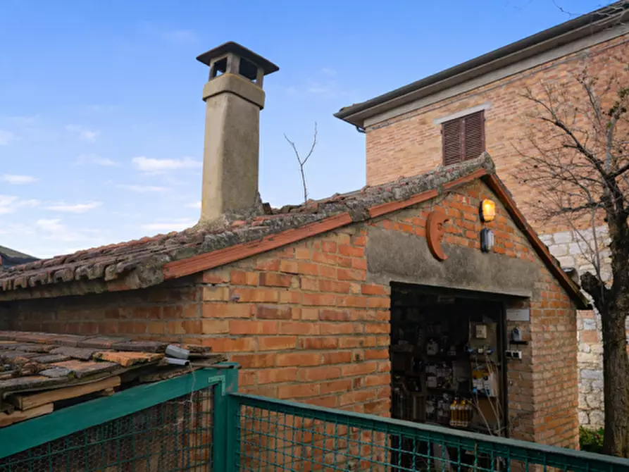Immagine 26 di Casa colonica in vendita  a Torrita Di Siena