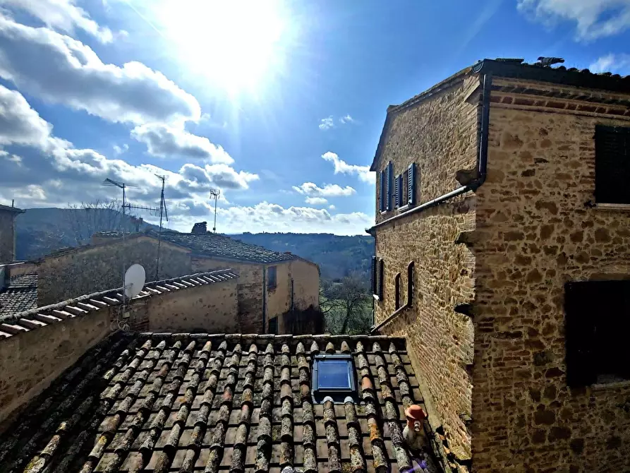 Immagine 7 di Palazzo in vendita  a Montalcino