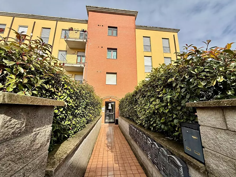 Immagine 25 di Appartamento in vendita  a Cascina