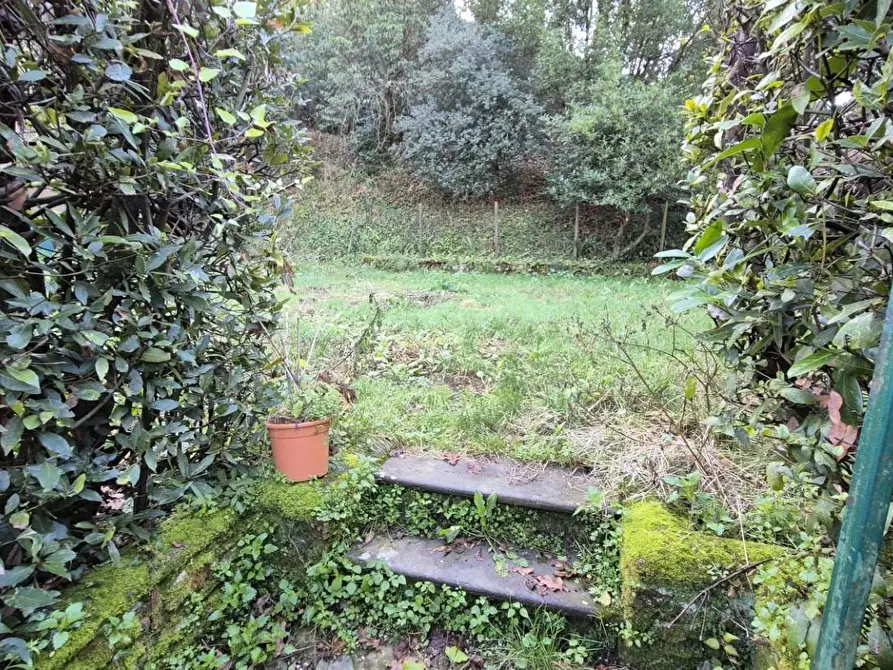 Immagine 4 di Rustico / casale in vendita  a Camaiore