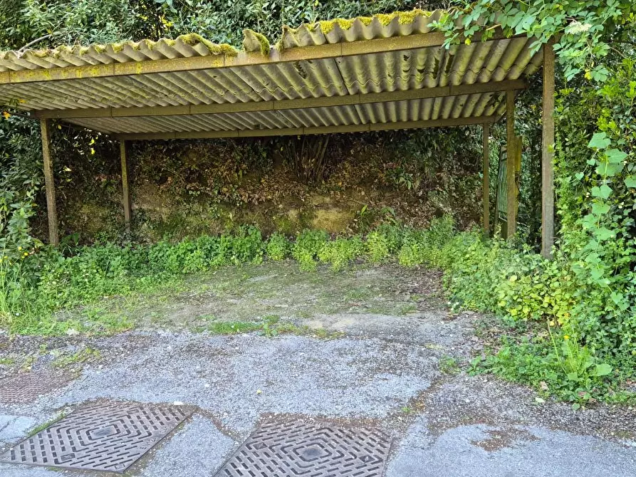 Immagine 100 di Rustico / casale in vendita  a Camaiore