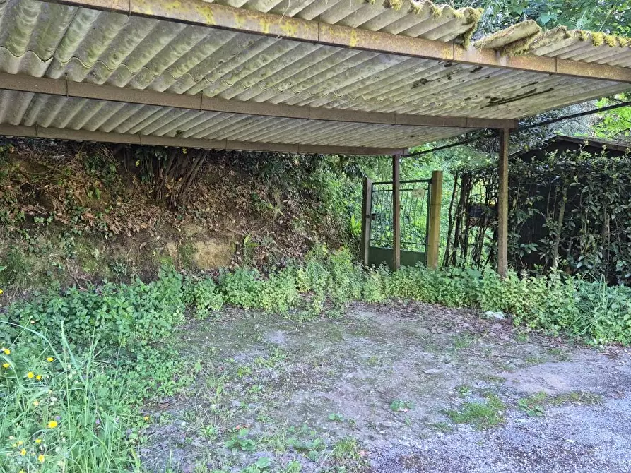 Immagine 101 di Rustico / casale in vendita  a Camaiore