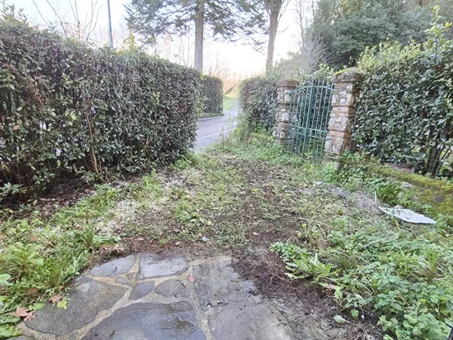 Immagine 86 di Rustico / casale in vendita  a Camaiore