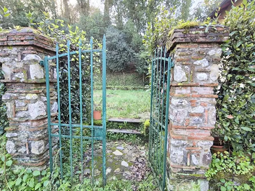 Immagine 3 di Rustico / casale in vendita  a Camaiore