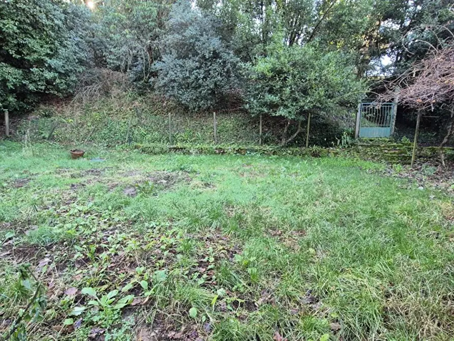 Immagine 92 di Rustico / casale in vendita  a Camaiore