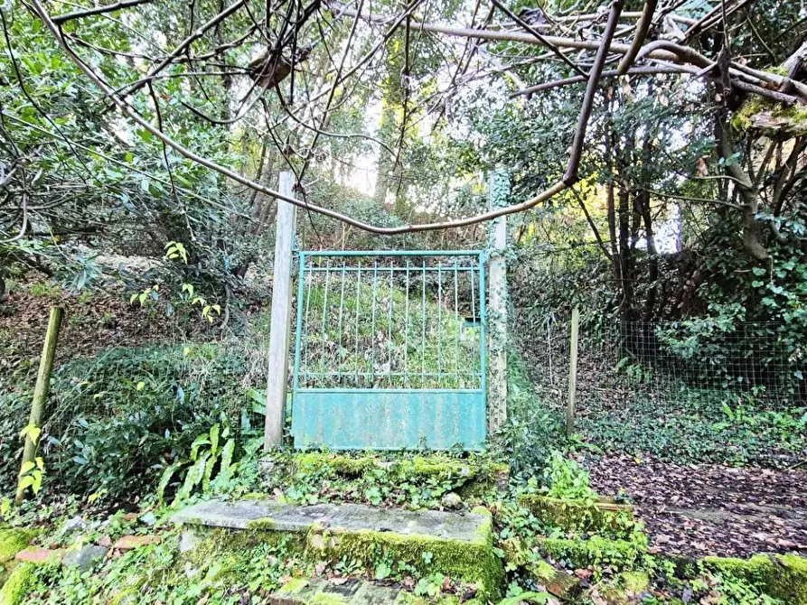 Immagine 99 di Rustico / casale in vendita  a Camaiore