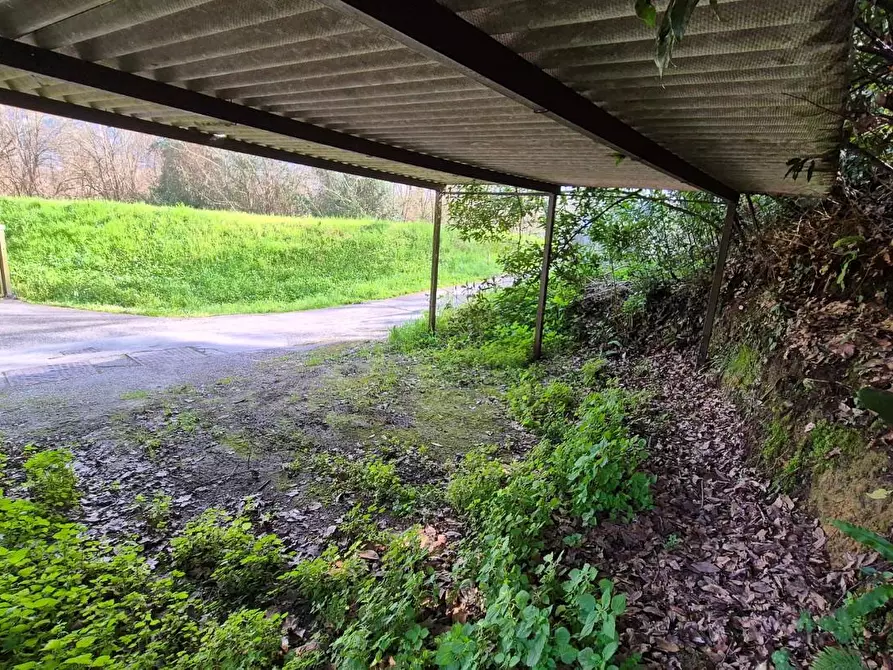 Immagine 107 di Rustico / casale in vendita  a Camaiore