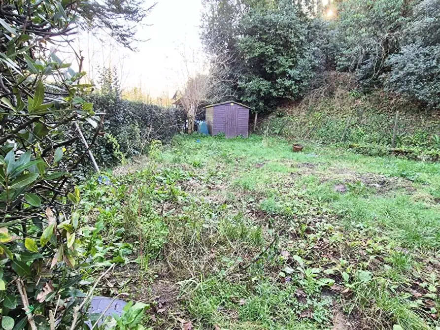 Immagine 91 di Rustico / casale in vendita  a Camaiore