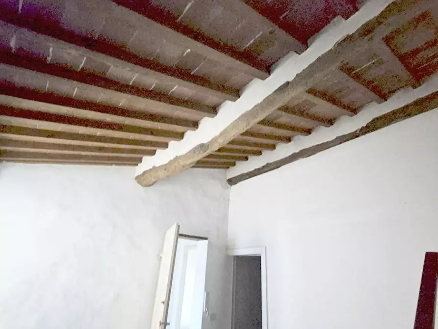 Immagine 39 di Rustico / casale in vendita  a Camaiore