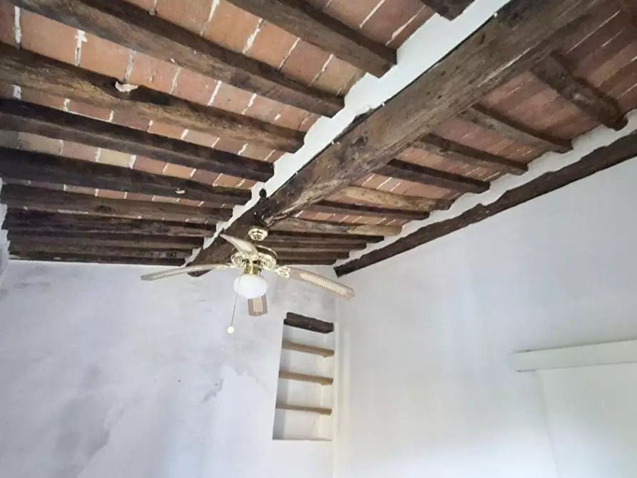 Immagine 59 di Rustico / casale in vendita  a Camaiore