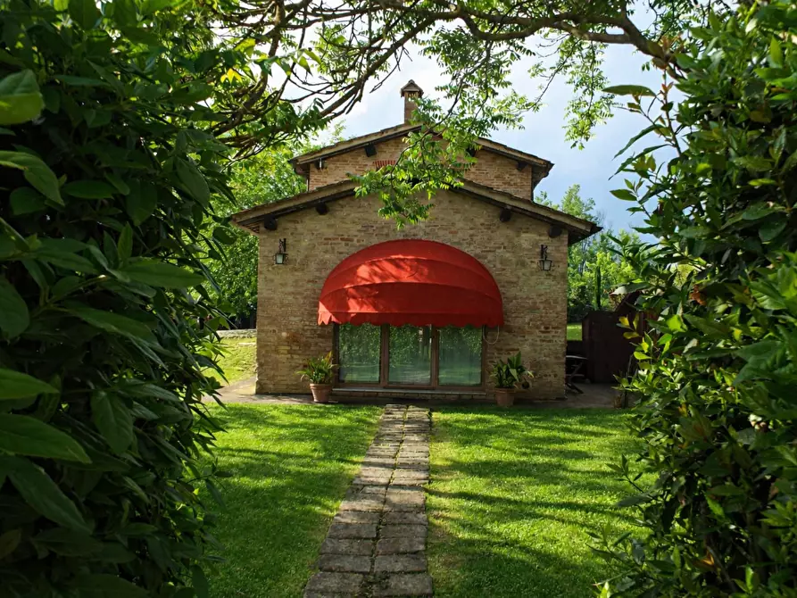 Immagine 33 di Casa colonica in vendita  a Monteroni D'arbia