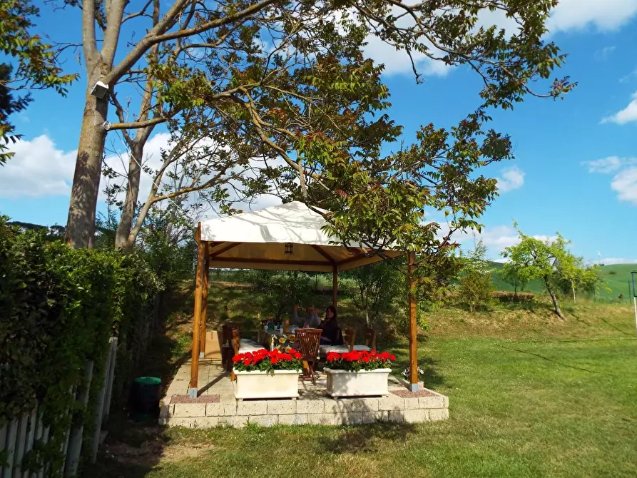 Immagine 3 di Casa colonica in vendita  a Monteroni D'arbia
