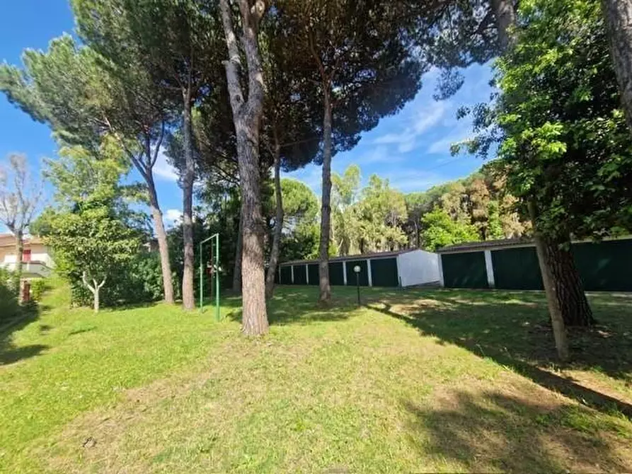 Immagine 10 di Appartamento in vendita  a Cecina