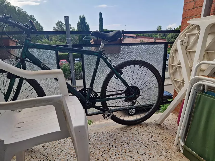 Immagine 7 di Appartamento in vendita  a Cecina