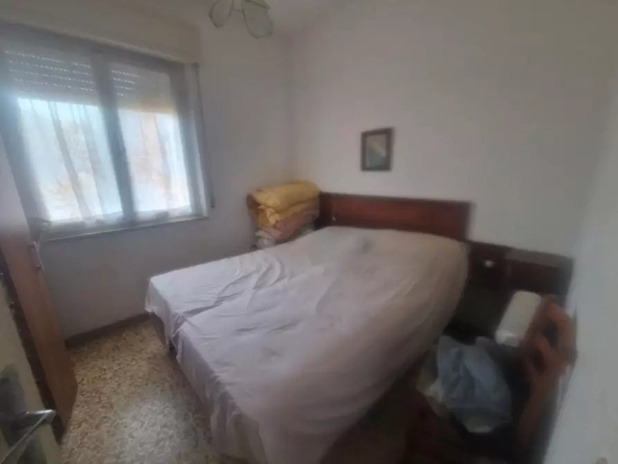 Immagine 4 di Appartamento in vendita  a Cecina