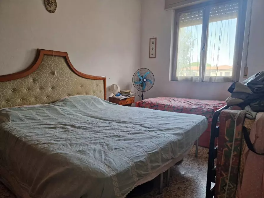 Immagine 6 di Appartamento in vendita  a Cecina