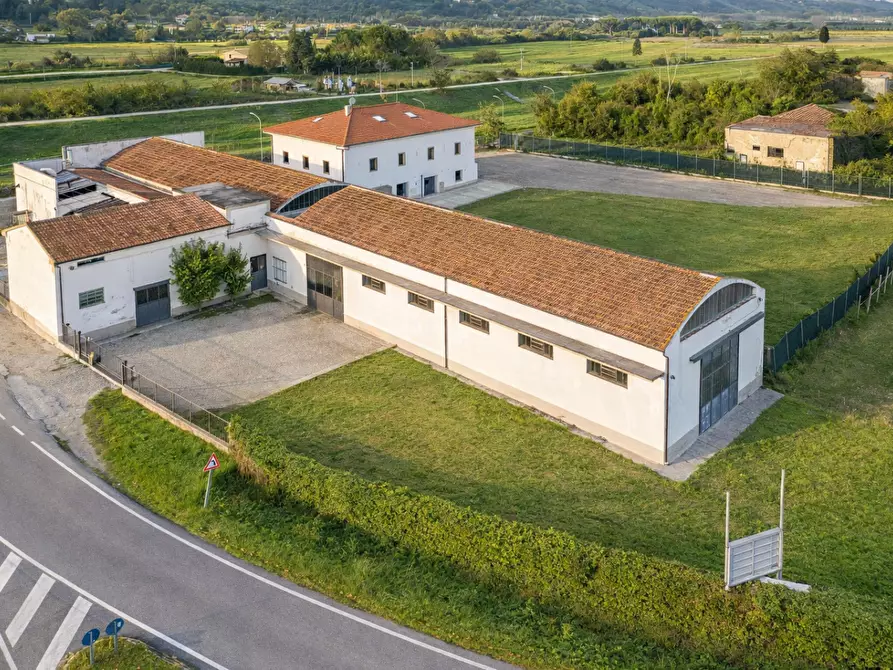 Immagine 4 di Attività artigianale in vendita  a Vicopisano