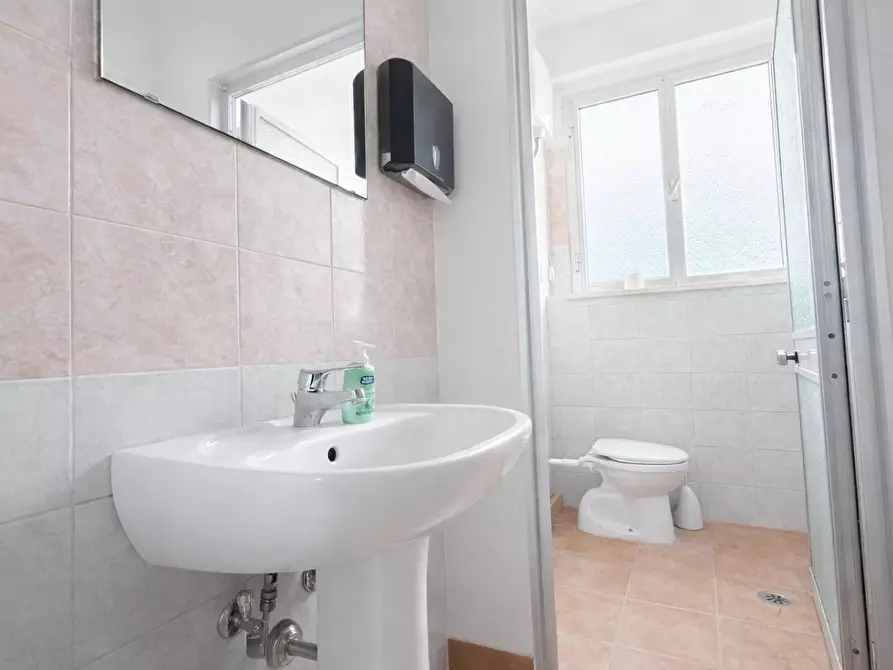 Immagine 26 di Attività artigianale in affitto  a Bientina