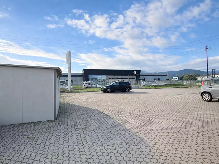 Immagine 12 di Attività artigianale in affitto  a Bientina