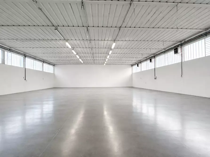 Immagine 17 di Attività artigianale in affitto  a Bientina