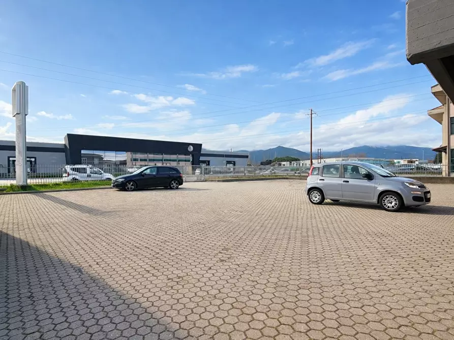 Immagine 13 di Attività artigianale in affitto  a Bientina