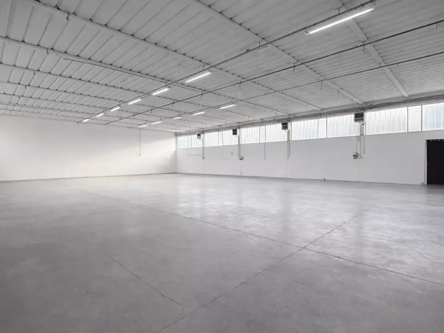 Immagine 18 di Attività artigianale in affitto  a Bientina