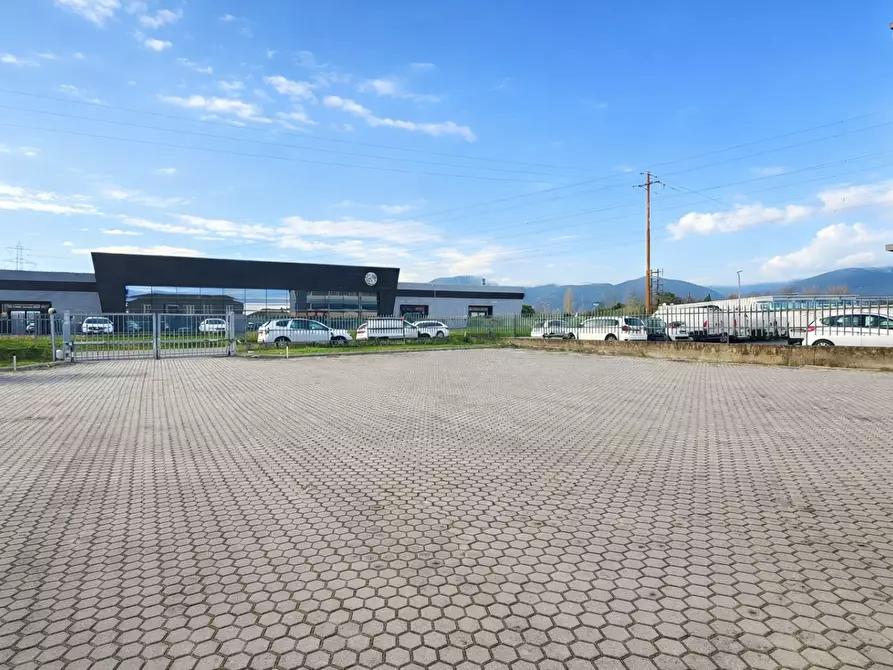 Immagine 14 di Attività artigianale in affitto  a Bientina