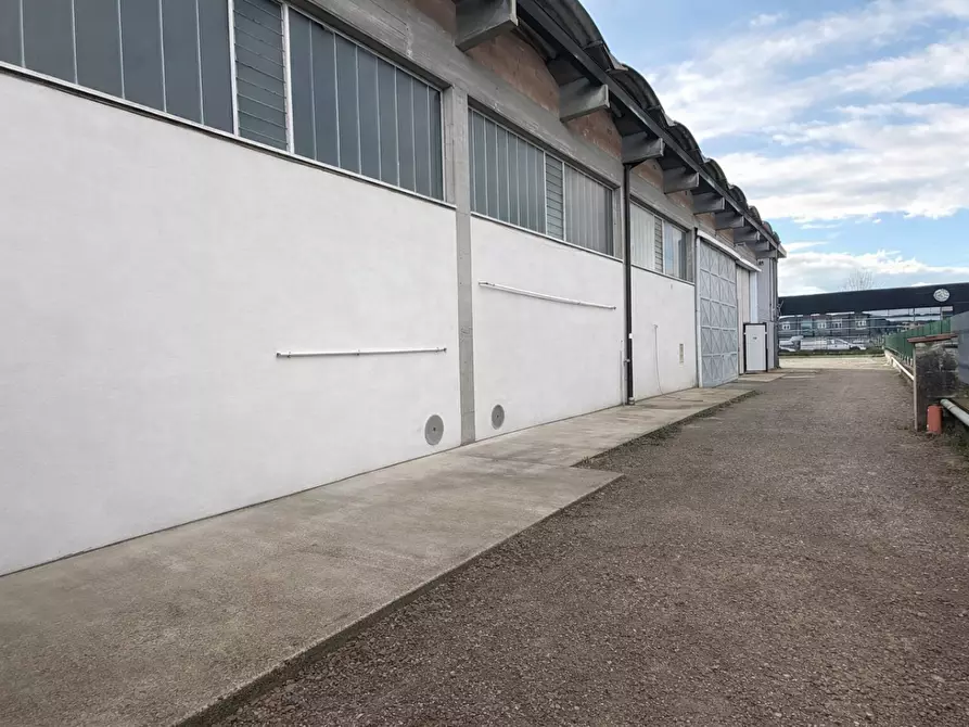 Immagine 11 di Attività artigianale in affitto  a Bientina