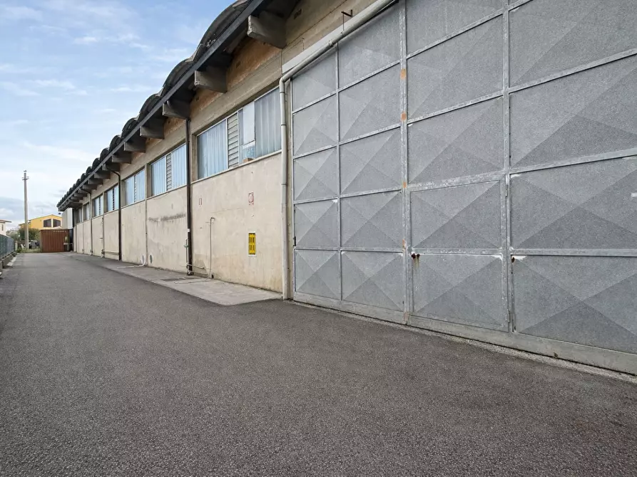 Immagine 10 di Attività artigianale in affitto  a Bientina