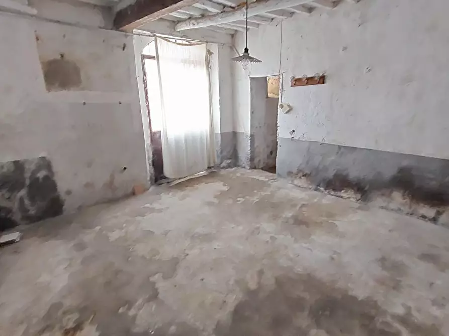 Immagine 9 di Terratetto in vendita  a Buti