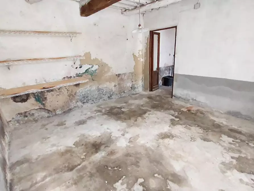 Immagine 8 di Terratetto in vendita  a Buti