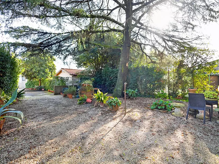 Immagine 2 di Casa bifamiliare in vendita  a Bientina